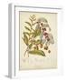 Twining Botanicals VIII-Elizabeth Twining-Framed Art Print