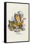 Twinkle, Twinkle, Said the Hatter, 1930-John Tenniel-Framed Stretched Canvas