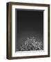 Twinkling Lights 1-Design Fabrikken-Framed Photographic Print