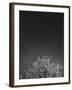 Twinkling Lights 1-Design Fabrikken-Framed Photographic Print