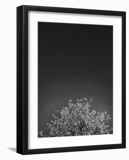 Twinkling Lights 1-Design Fabrikken-Framed Photographic Print