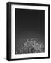 Twinkling Lights 1-Design Fabrikken-Framed Photographic Print