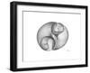 Twins-Albert Koetsier-Framed Premium Giclee Print