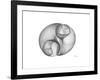 Twins-Albert Koetsier-Framed Premium Giclee Print