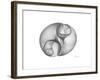 Twins-Albert Koetsier-Framed Premium Giclee Print