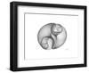 Twins-Albert Koetsier-Framed Premium Giclee Print