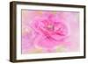 Twirl-Jacky Parker-Framed Giclee Print