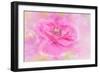 Twirl-Jacky Parker-Framed Giclee Print