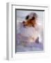 Twirling Female Dancer, San Miguel De Allende, Mexico-Nancy Rotenberg-Framed Photographic Print