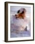 Twirling Female Dancer, San Miguel De Allende, Mexico-Nancy Rotenberg-Framed Photographic Print