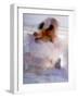 Twirling Female Dancer, San Miguel De Allende, Mexico-Nancy Rotenberg-Framed Photographic Print