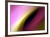 Twisted Beams I-Douglas Taylor-Framed Photographic Print