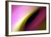 Twisted Beams I-Douglas Taylor-Framed Photographic Print