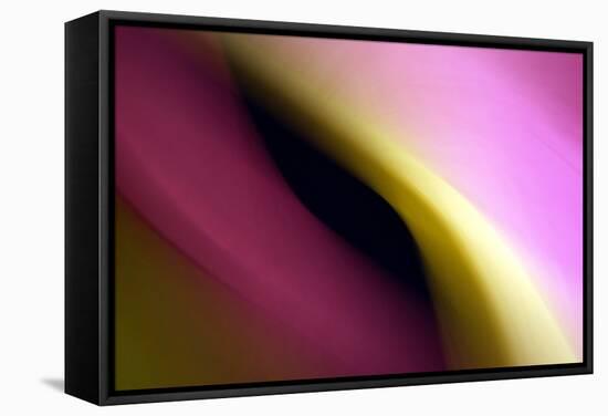 Twisted Beams II-Douglas Taylor-Framed Stretched Canvas