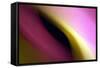 Twisted Beams II-Douglas Taylor-Framed Stretched Canvas