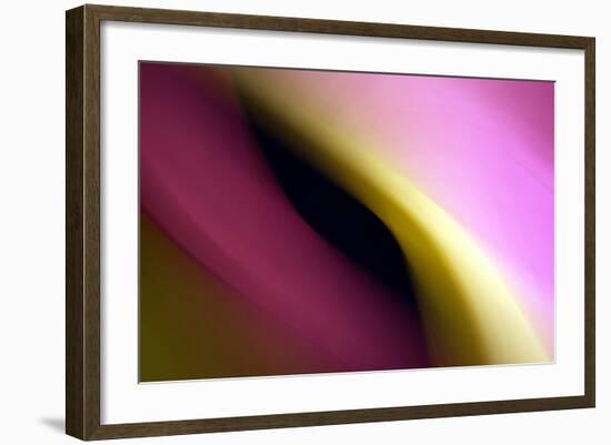 Twisted Beams II-Douglas Taylor-Framed Photographic Print