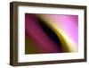 Twisted Beams II-Douglas Taylor-Framed Photographic Print