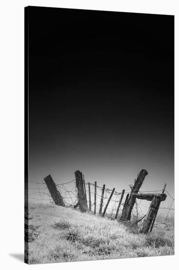 Twisted Fence and Morning Fog, Petaluma California-Vincent James-Stretched Canvas