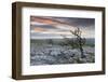 Twisted Hawthorn Trees Growing Through the Limestone Pavement on Twistleton Scar, Yorkshire-Adam Burton-Framed Photographic Print