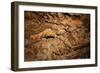 Twisted Mineral Seams.-daseaford-Framed Photographic Print