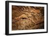 Twisted Mineral Seams.-daseaford-Framed Photographic Print