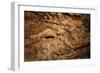 Twisted Mineral Seams.-daseaford-Framed Photographic Print