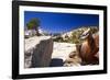 Twisted Pine Tree at Olmstead Point-George Oze-Framed Photographic Print