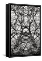 Twisted Tree, 2021 (photograph)-Ant Smith-Framed Stretched Canvas