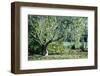 Twisted Tree-Mary Lou Johnson-Framed Photo