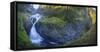 Twister Falls and Canyon on Eagle Creek, Columbia Gorge, Oregon, USA-Gary Luhm-Framed Stretched Canvas