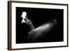 Twister Ii-Ahmed Abdulazim-Framed Giclee Print