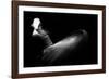 Twister Ii-Ahmed Abdulazim-Framed Giclee Print