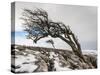 Twistleton Scar End in Snow, Ingleton, Yorkshire Dales, Yorkshire, England, United Kingdom, Europe-Bill Ward-Stretched Canvas