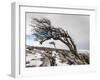 Twistleton Scar End in Snow, Ingleton, Yorkshire Dales, Yorkshire, England, United Kingdom, Europe-Bill Ward-Framed Photographic Print