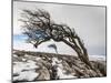 Twistleton Scar End in Snow, Ingleton, Yorkshire Dales, Yorkshire, England, United Kingdom, Europe-Bill Ward-Mounted Photographic Print