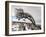 Twistleton Scar End in Snow, Ingleton, Yorkshire Dales, Yorkshire, England, United Kingdom, Europe-Bill Ward-Framed Premium Photographic Print