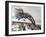 Twistleton Scar End in Snow, Ingleton, Yorkshire Dales, Yorkshire, England, United Kingdom, Europe-Bill Ward-Framed Premium Photographic Print