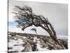 Twistleton Scar End in Snow, Ingleton, Yorkshire Dales, Yorkshire, England, United Kingdom, Europe-Bill Ward-Stretched Canvas