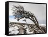 Twistleton Scar End in Snow, Ingleton, Yorkshire Dales, Yorkshire, England, United Kingdom, Europe-Bill Ward-Framed Stretched Canvas