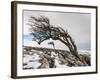 Twistleton Scar End in Snow, Ingleton, Yorkshire Dales, Yorkshire, England, United Kingdom, Europe-Bill Ward-Framed Photographic Print