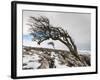 Twistleton Scar End in Snow, Ingleton, Yorkshire Dales, Yorkshire, England, United Kingdom, Europe-Bill Ward-Framed Photographic Print