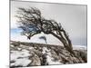 Twistleton Scar End in Snow, Ingleton, Yorkshire Dales, Yorkshire, England, United Kingdom, Europe-Bill Ward-Mounted Photographic Print