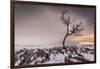 Twistleton Scar End in Snow, Ingleton, Yorkshire Dales, Yorkshire, England, United Kingdom, Europe-Bill Ward-Framed Premium Photographic Print