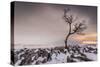 Twistleton Scar End in Snow, Ingleton, Yorkshire Dales, Yorkshire, England, United Kingdom, Europe-Bill Ward-Stretched Canvas