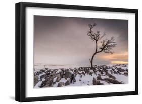 Twistleton Scar End in Snow, Ingleton, Yorkshire Dales, Yorkshire, England, United Kingdom, Europe-Bill Ward-Framed Photographic Print