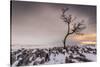 Twistleton Scar End in Snow, Ingleton, Yorkshire Dales, Yorkshire, England, United Kingdom, Europe-Bill Ward-Stretched Canvas