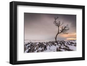 Twistleton Scar End in Snow, Ingleton, Yorkshire Dales, Yorkshire, England, United Kingdom, Europe-Bill Ward-Framed Photographic Print