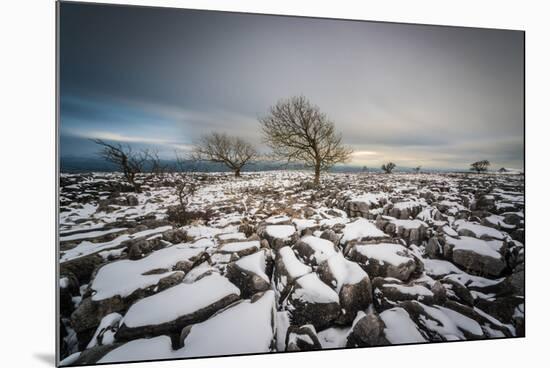 Twistleton Scar End in Snow, Ingleton, Yorkshire Dales, Yorkshire, England, United Kingdom, Europe-Bill Ward-Mounted Photographic Print