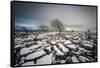 Twistleton Scar End in Snow, Ingleton, Yorkshire Dales, Yorkshire, England, United Kingdom, Europe-Bill Ward-Framed Stretched Canvas