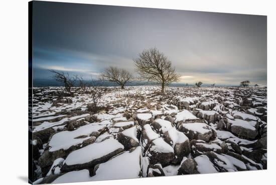 Twistleton Scar End in Snow, Ingleton, Yorkshire Dales, Yorkshire, England, United Kingdom, Europe-Bill Ward-Stretched Canvas